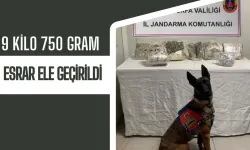 Şanlıurfa'da Uyuşturucu Operasyonu 9 Kilo 750 Gram Esrar Ele Geçirildi