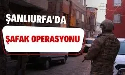 Şanlıurfa'da Şafak Operasyonu 4 Şüpheli Yakalandı