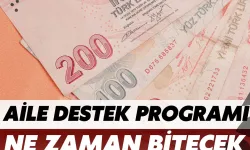 2025 Şubat Ayı Aile Destek Programı Ne Zaman Bitecek?