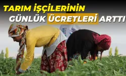 TÜİK Açıkladı! Tarım İşçilerinin Günlük Ücretleri Arttı