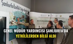 Genel Müdür Yardımcısı Şanlıurfa’da: Yetkililerden Bilgi Aldı