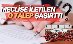 Meclise İletilen Birbirinden İlginç Talepler: O Talebi Duyunca Çok Şaşıracaksınız