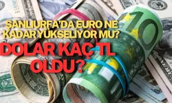 Şanlıurfa’da Euro Ne Kadar, Yükseliyor Mu? Dolar Kaç TL Oldu?