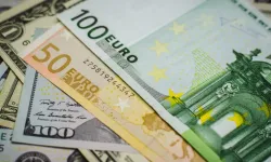 Dövizde Yükseliş Sürüyor: Euro 44 Lirayı Geçti