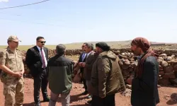 Viranşehir'de Hayvancıya Devlet Eli Uzandı