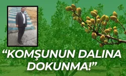 Şanlıurfa Fıstık Üreticileri Birliği Başkanı Faruk Akbaş’tan Fıstık Üreticilerine Uyarı