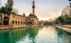Şanlıurfa’da Obez Kişi Sayısı Kaç?
