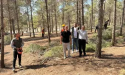 Şanlıurfa Orman Bölge Müdürü İsmail Poyraz, Dikili Satışa Konu Alanları Yerinde İnceledi