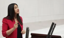 Şanlıurfa’da 44 Can Gitti! DEM Parti Vekili, Bakan’a Sordu