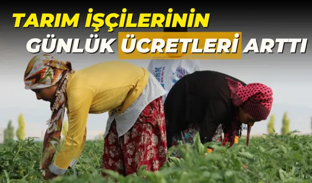 TÜİK Açıkladı! Tarım İşçilerinin Günlük Ücretleri Arttı