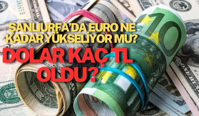 Şanlıurfa’da Euro Ne Kadar, Yükseliyor Mu? Dolar Kaç TL Oldu?