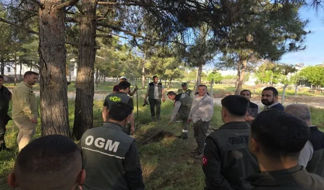 Şanlıurfa Kabusu Tekrar Yaşamak İstemiyor: Çalışmalar Başladı
