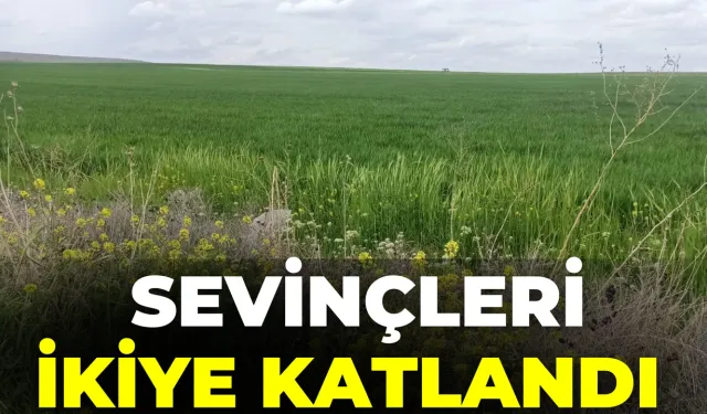 Şanlıurfa’da Sevinçleri İkiye Katlandı: Kurtuldular