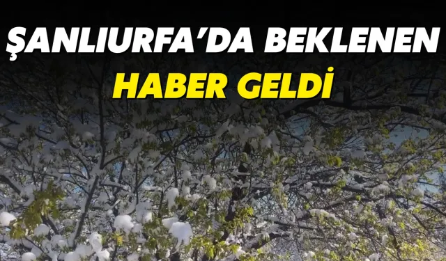 Şanlıurfalı Çiftçiler İçin Beklenen Haber Geldi!