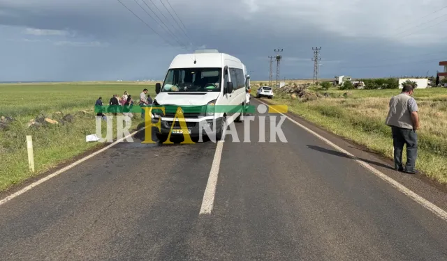Şanlıurfa'da Trafik Kazası: 28 Yaralı