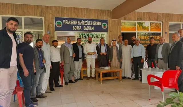 Şanlıurfa'da Yılın İlk Hasadı Bakın Ne Kadara Satıldı…