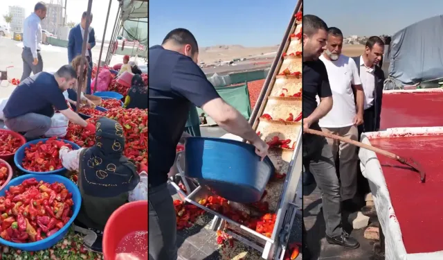 AK Parti Karaköprü İlçe Başkanı Çelik, İsot Temizledi, İşçilerle Bir Araya Geldi