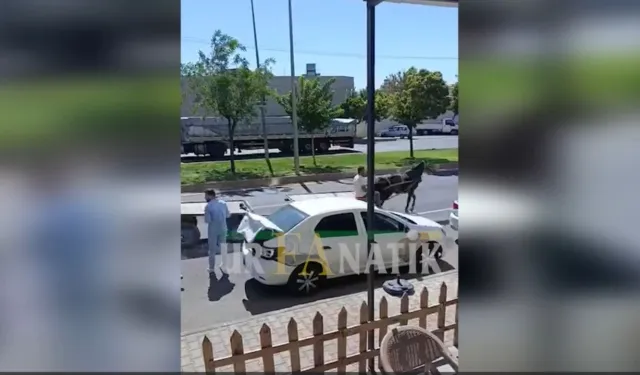 Şanlıurfa’da Sıra Dışı Kaza: At Arabası Otomobile Arkadan Çarptı