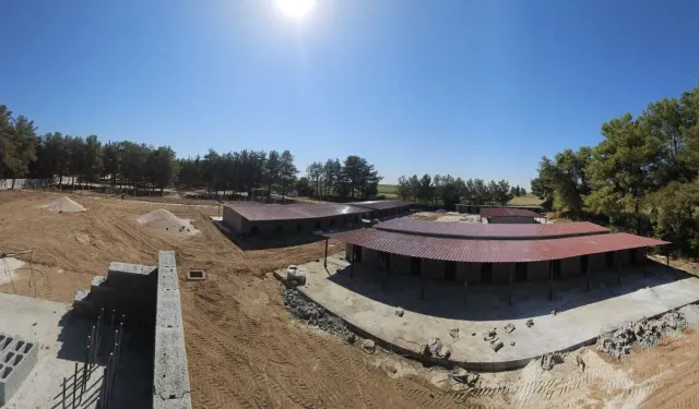 Şanlıurfa'nın En Büyük Hayvan Bakımevi Ceylanpınar’da Yükseliyor