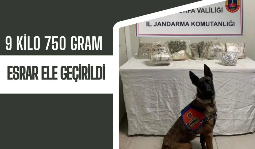 Şanlıurfa'da Uyuşturucu Operasyonu 9 Kilo 750 Gram Esrar Ele Geçirildi