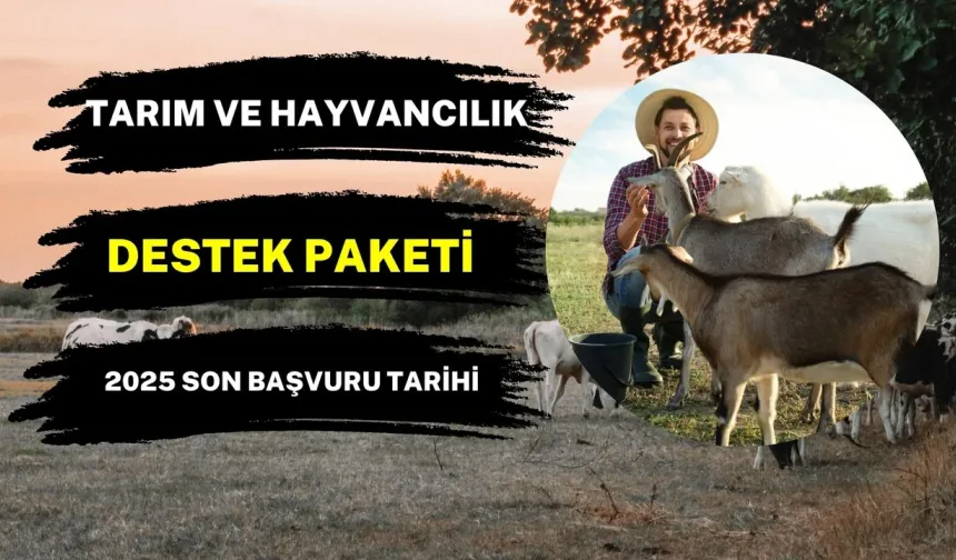 Kırsalda Bereket, Hayvancılığa Destek Başvurusu Ne Zaman Bitecek, Bitti Mi, Nasıl Alınır, Kimler Alabilir?