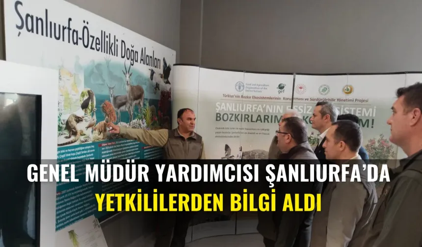 Genel Müdür Yardımcısı Şanlıurfa’da: Yetkililerden Bilgi Aldı