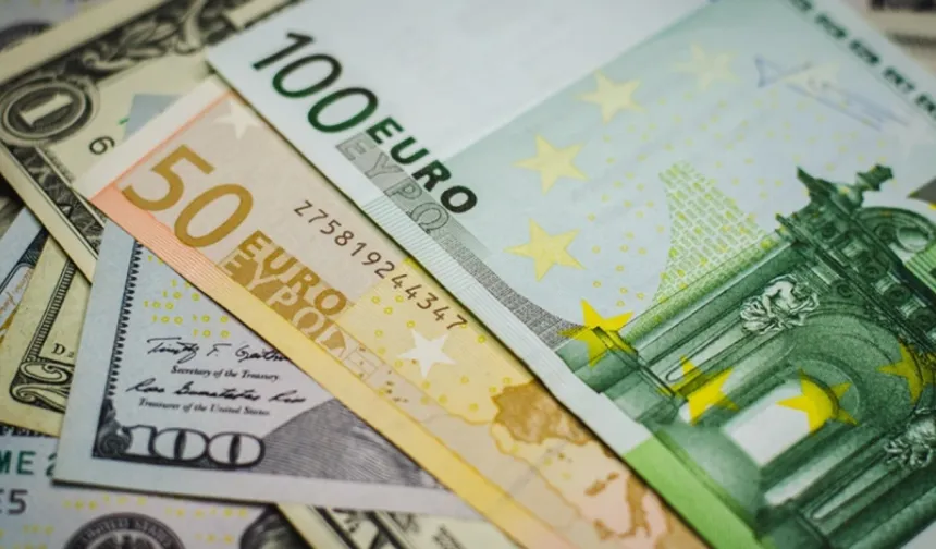 Dövizde Yükseliş Sürüyor: Euro 44 Lirayı Geçti