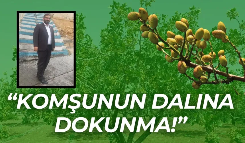 Şanlıurfa Fıstık Üreticileri Birliği Başkanı Faruk Akbaş’tan Fıstık Üreticilerine Uyarı