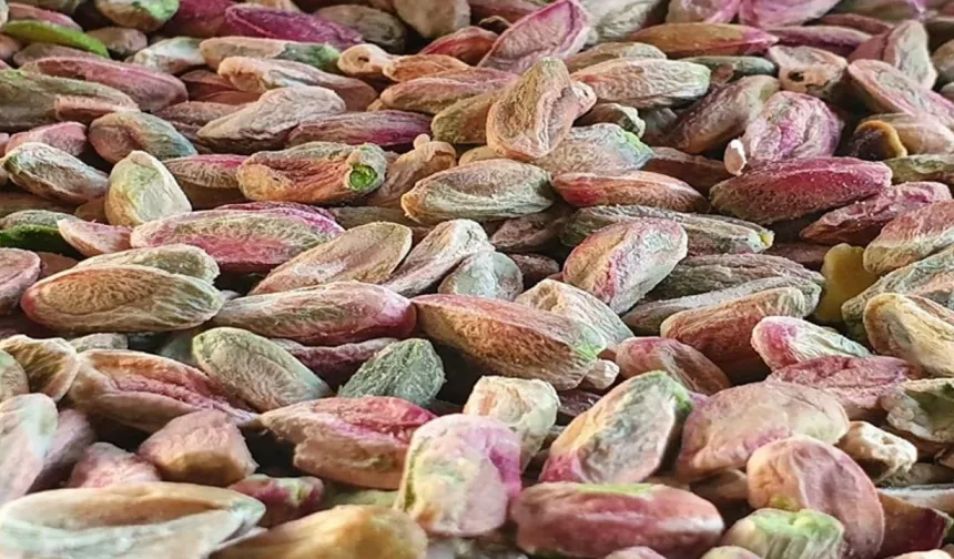 Şanlıurfa’da Fıstıkta Yüzler Gülüyor: Üretici Ve Tüccar Günlük Takipte