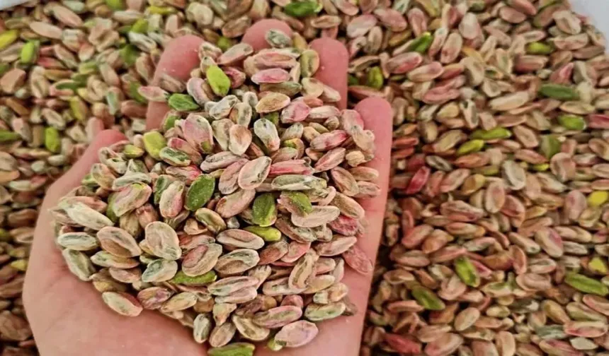 Şanlıurfa’da Fıstık Fiyatları Rekora Koşuyor: Kilogramı 2 Bin TL’ye Dayandı!