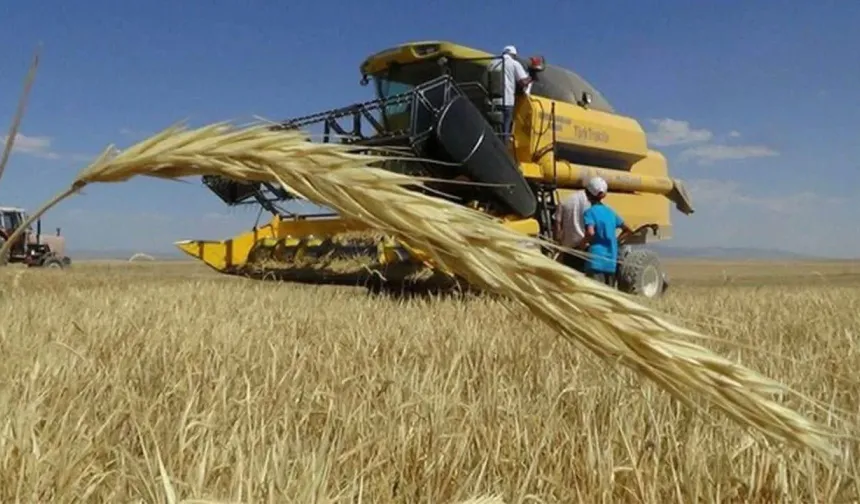 Şanlıurfa’da Hububat Piyasasında Rekor Üstüne Rekor!