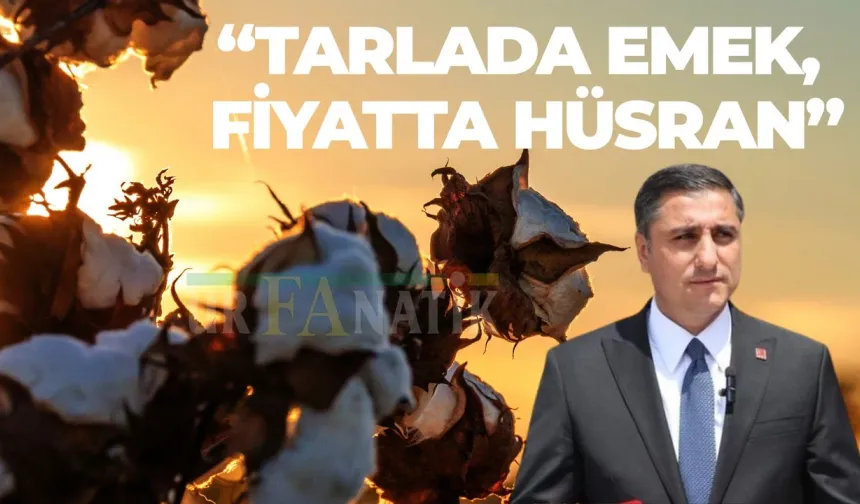 CHP Şanlıurfa İl Başkanı Ferhat Karadağ’dan Pamuk Fiyatlarına Sert Eleştiri: Çiftçi İflasın Eşiğinde