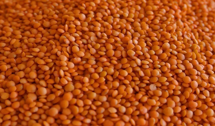 Şanlıurfa’da Mercimek Uçuşa Geçti: Kilosu Bakın Ne Kadar Oldu?