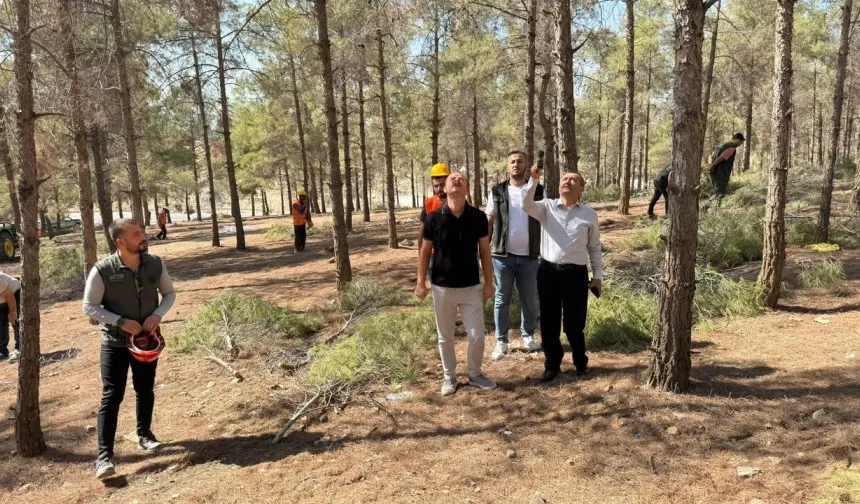 Şanlıurfa Orman Bölge Müdürü İsmail Poyraz, Dikili Satışa Konu Alanları Yerinde İnceledi