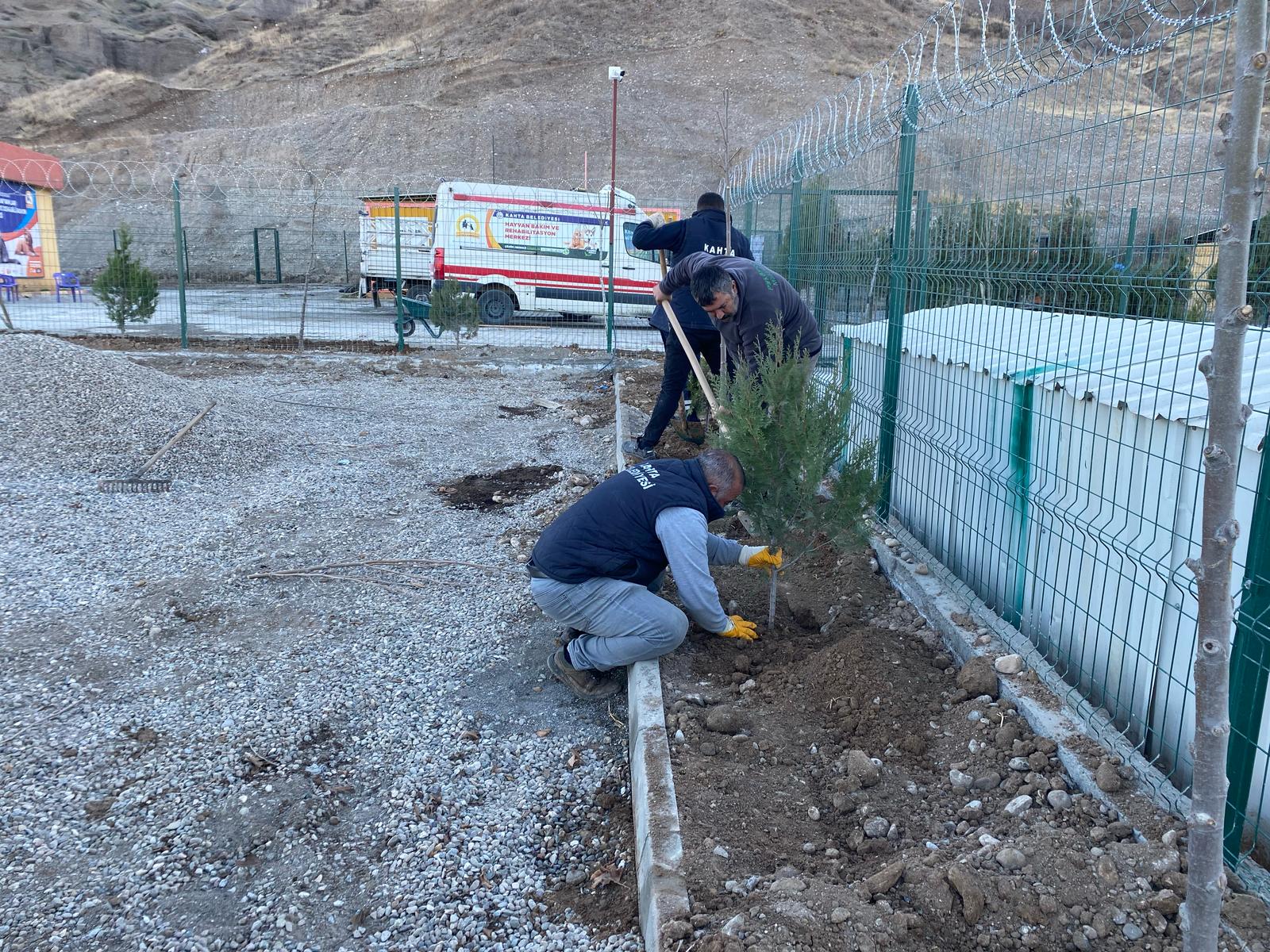 Kahta Belediyesi, Ağaçlandırma Çalışmalarına Hızla Devam Ediyor